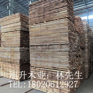 欖仁木供應(yīng) 欖仁木價(jià)格 批發(fā)紅褐欖仁木TER 紅欖仁價(jià)格 欖仁木廠家